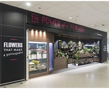 THE POWER of a FLOWER